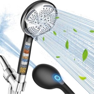 Filtered Shower Head with Handheld