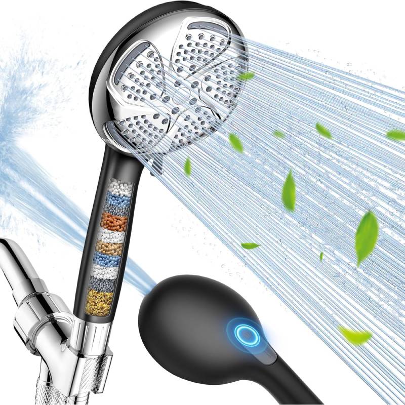 Filtered Shower Head with Handheld